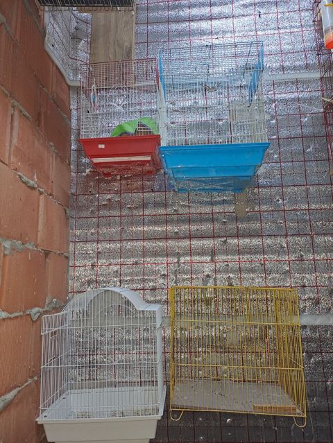 Qefes 4du bir yerde 25manat Tek tek basqa qiymet olucey Yuva yerleri