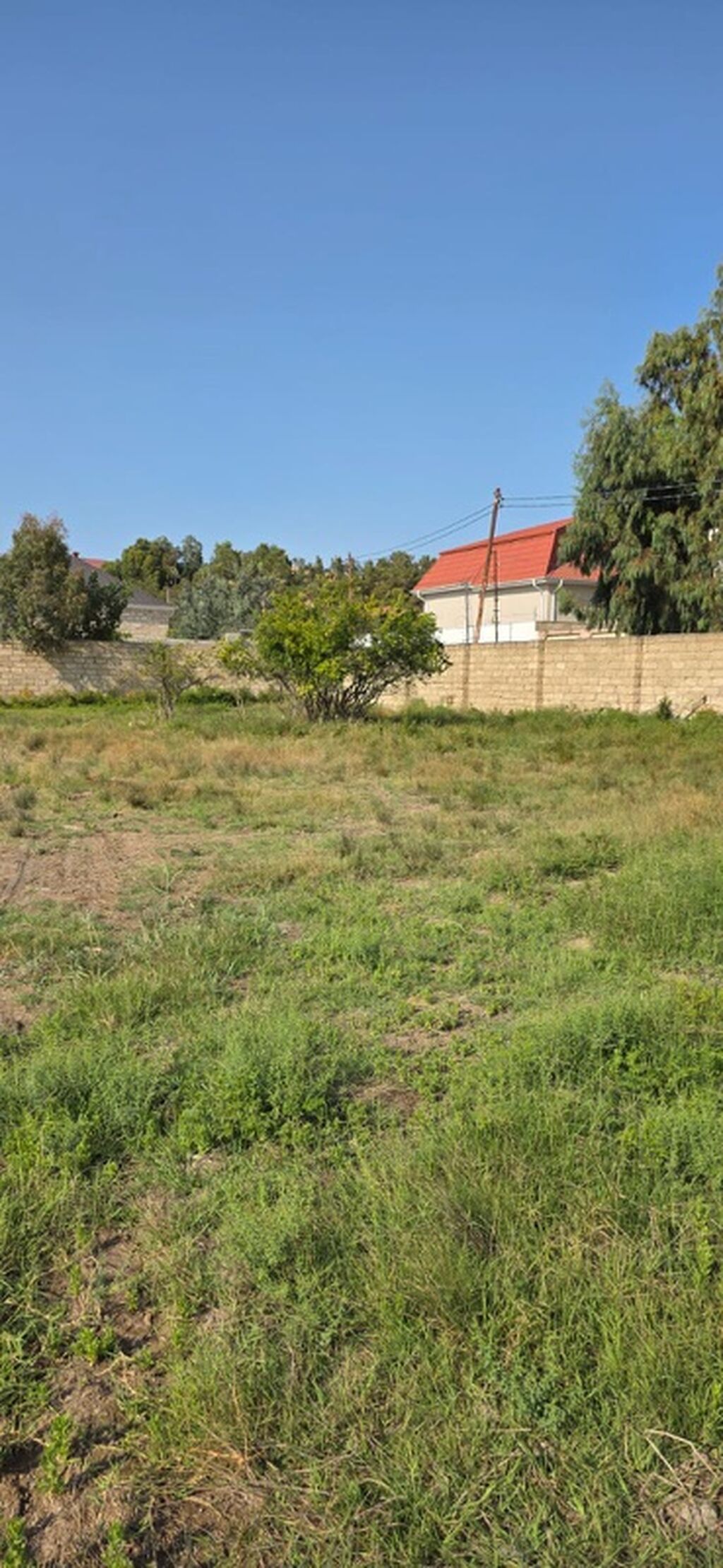 50 sot, Tikinti, Kupça (Çıxarış) — Torpaq, Digah (3)