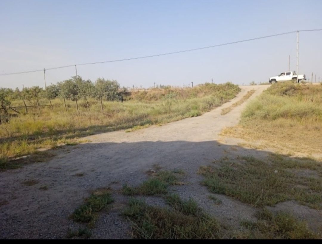 Satılır 3 otaqlı həyət evi/bağ evi 240 m² — Ev, villa, Salyan (2)