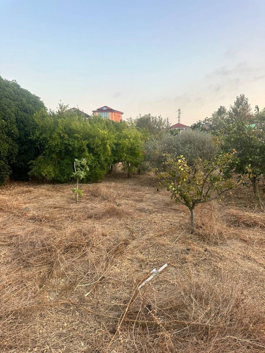 Satılır torpaq 4 sot — Torpaq, Bakı (5)