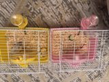 Rəngli hamster qəfəs dəsti - İki fərqli rəng variantı: sarı və — Клетки
