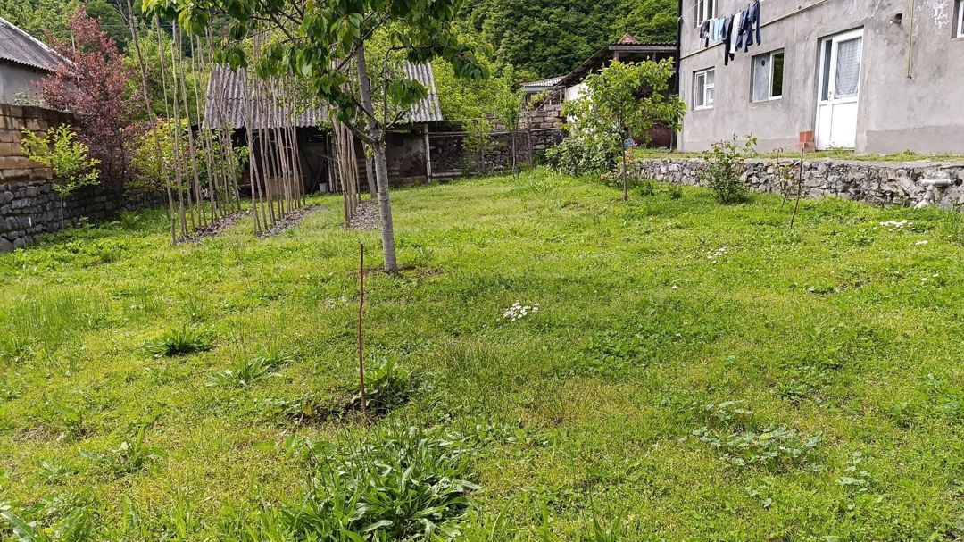 Həyət evi kirayə verilir, Qax r. — Ev, villa, Qax (11)