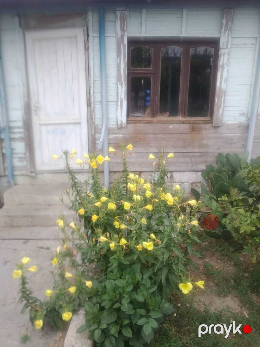 Satılır torpaq 4.8 sot — Torpaq, Bakı (2)