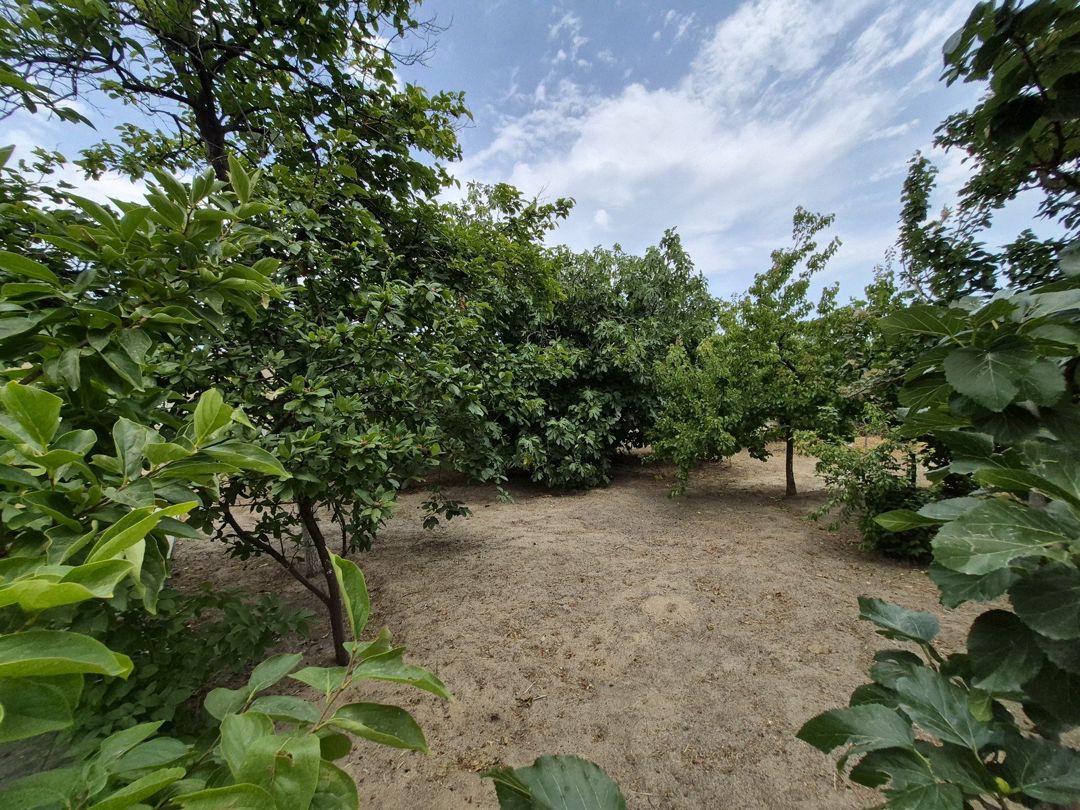 İcarəyə verilir 6 otaqlı həyət evi/bağ evi 250 m² — Ev, villa, Bakı (10)