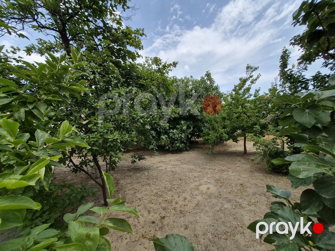 İcarəyə verilir 6 otaqlı həyət evi/bağ evi 250 m² — Ev, villa, Bakı (10)