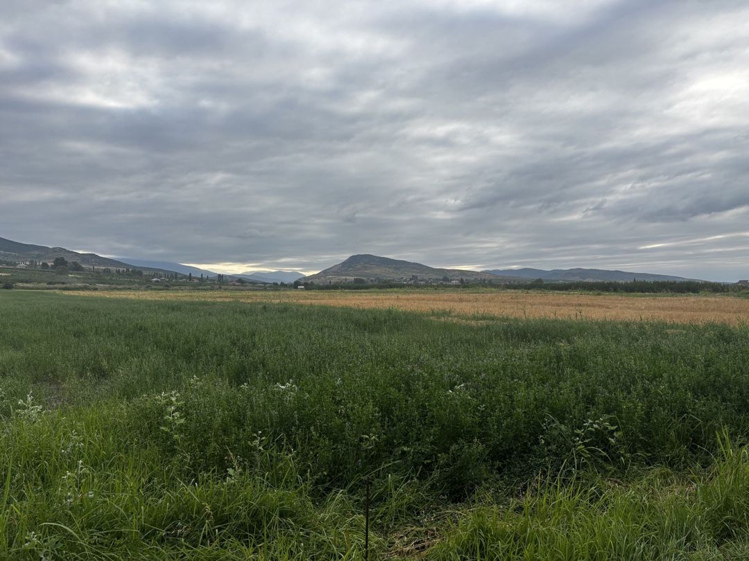 189 sot torpaq sahəsi, Quba r. — Torpaq, Şabran (4)