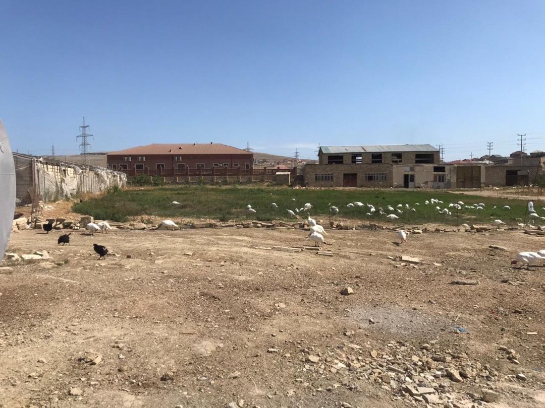 İcarəyə verilir obyekt 15000 m² — Əmlak, Bakı (11)