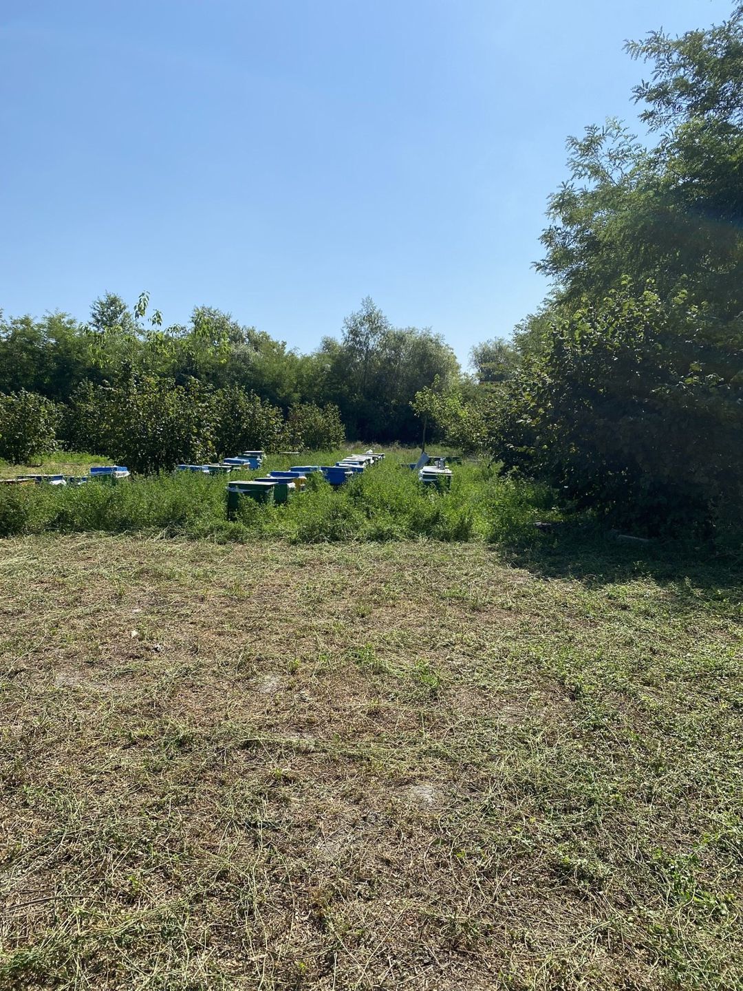 74 sot torpaq sahəsi, Oğuz r. — Torpaq, Oğuz (7)