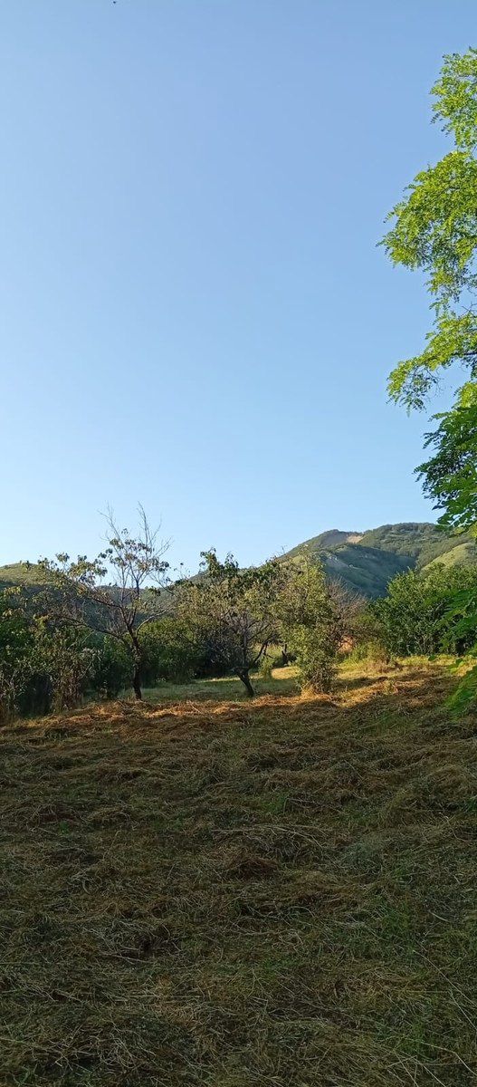 27 sot torpaq sahəsi, Xızı r. — Torpaq, Xızı (12)