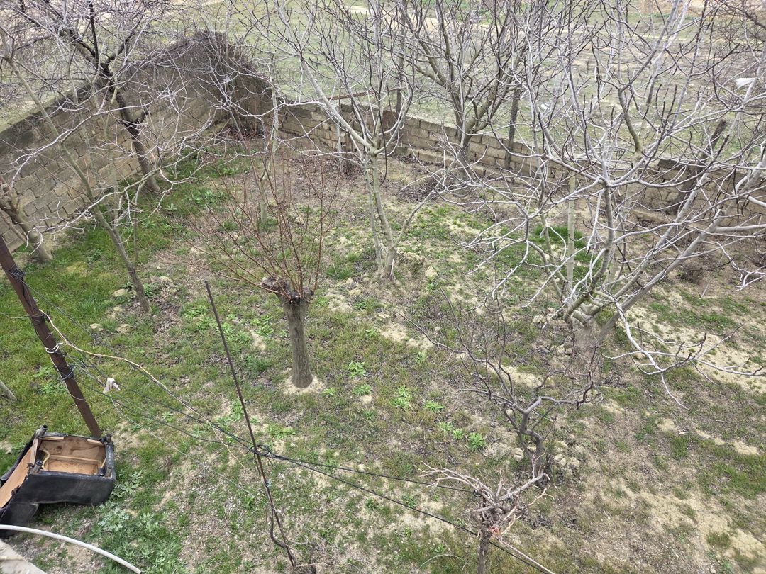 5 sot torpaq sahəsi, Fatmayı qəs. — Torpaq, Bakı (3)