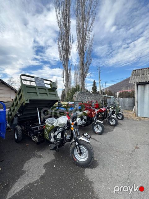 TUR MOTORS 250 CC, 2025 il