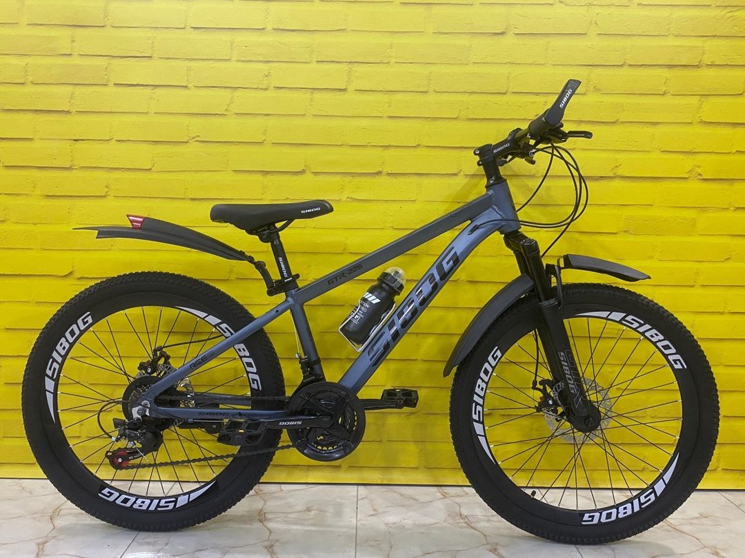 Velosiped 24 SİBOG-AL — Velosipedlər, Bakı (2)