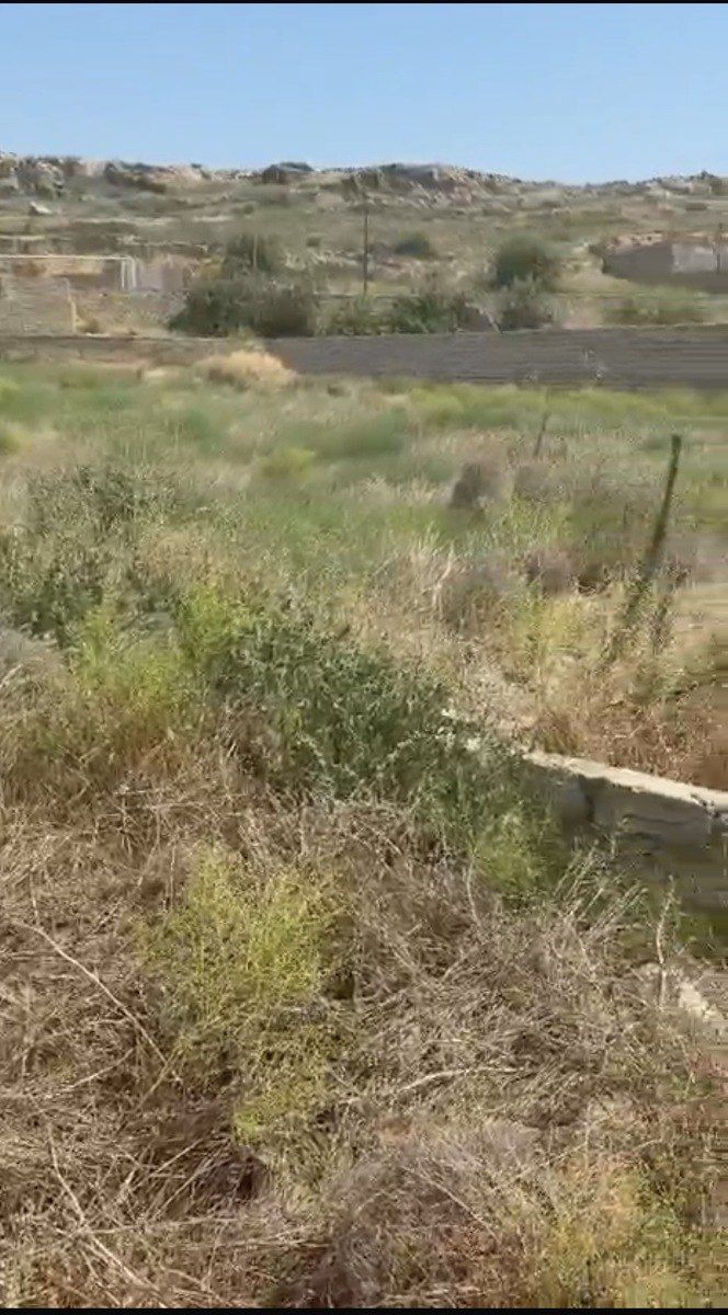 Satılır torpaq 12 sot — Torpaq, Bakı (7)