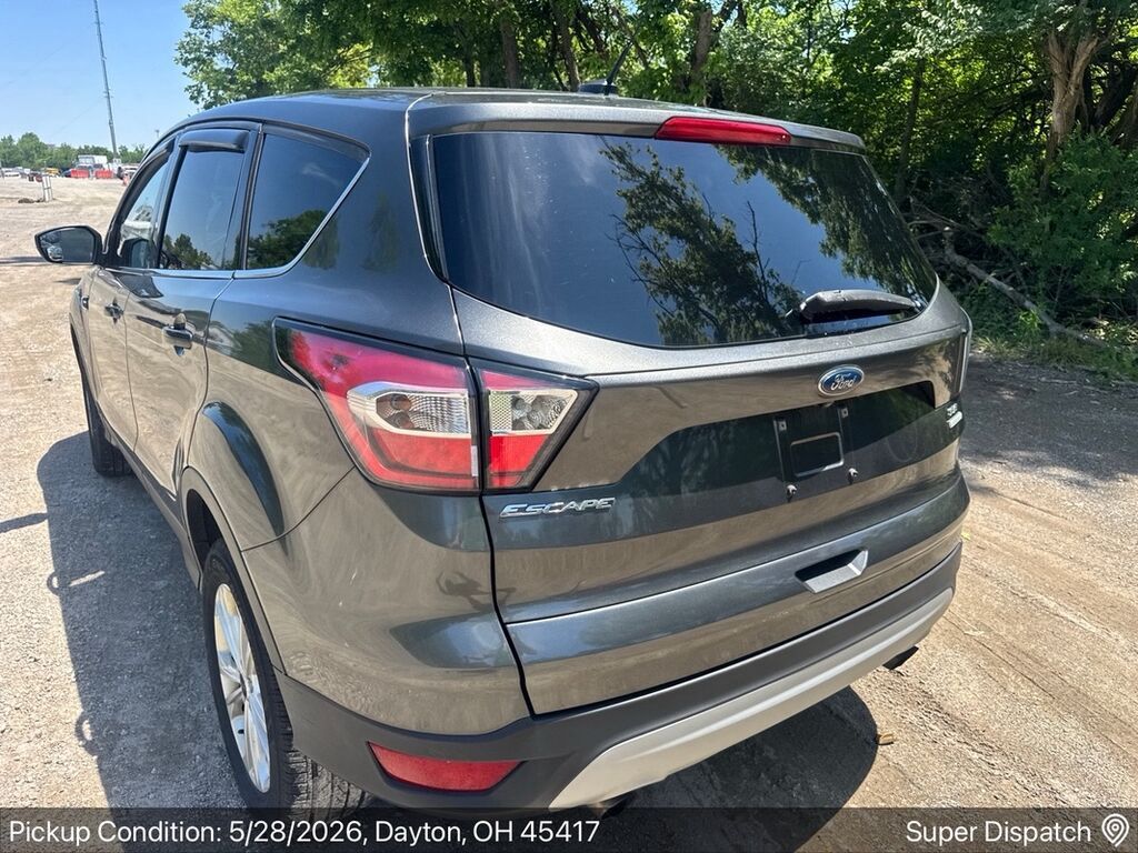 Ford Escape – kompakt krossover - Korpus: qrafit/qaranlıq boz rəng — Avto, Salyan (4)