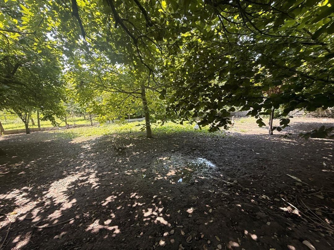 Satılır 4 otaqlı həyət evi/bağ evi 107.1 m² — Ev, villa, Zaqatala (5)
