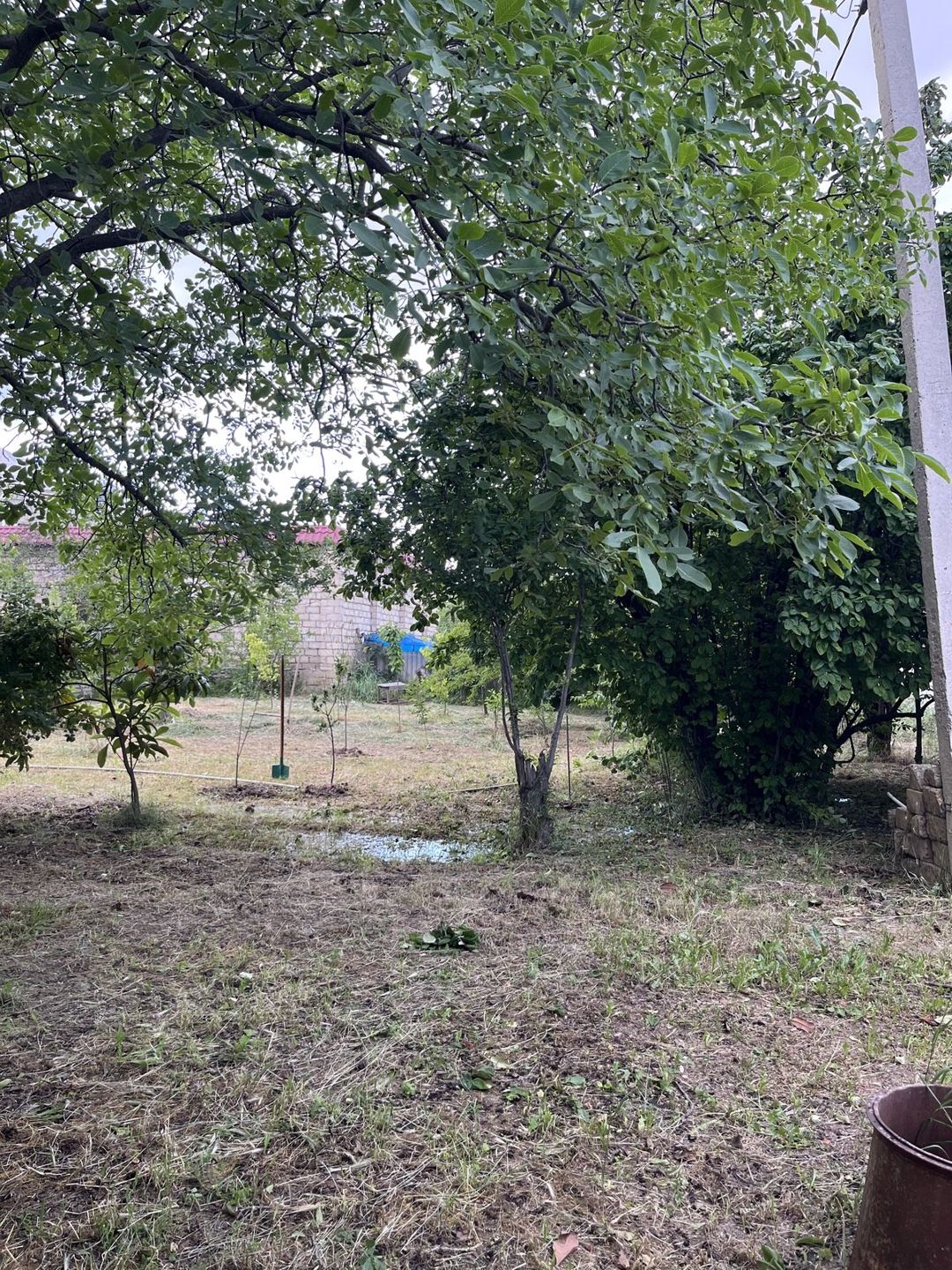 6 sot torpaq sahəsi, Gəncə ş. — Torpaq, Gəncə (8)