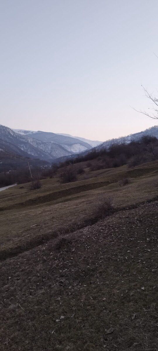 100 sot torpaq sahəsi, Quba r. — Torpaq, Quba (4)