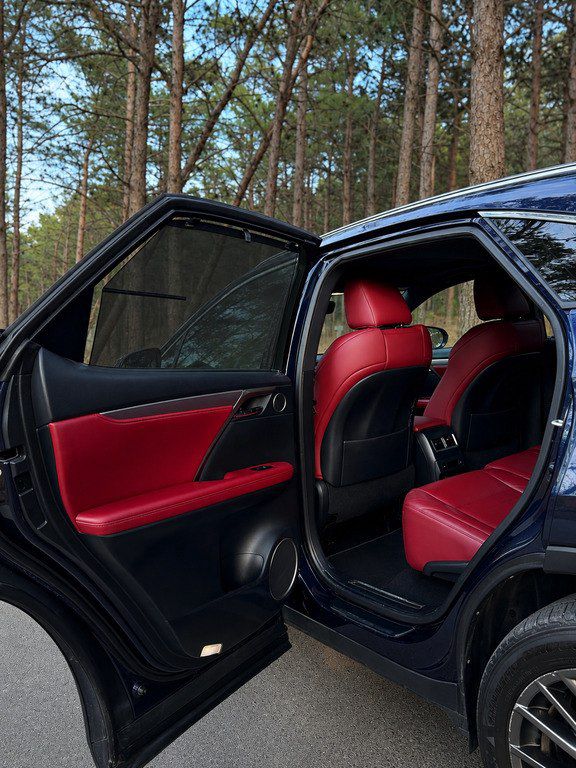 Lexus RX 300, 2.0 L, 2019 il, 125 000 km — Avtomobillər, Bakı (9)
