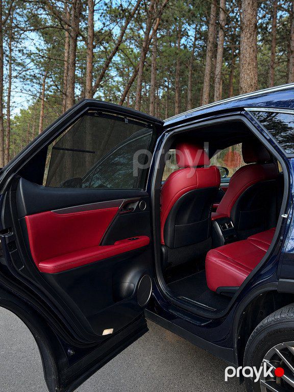 Lexus RX 300, 2.0 L, 2019 il, 125 000 km — Avtomobillər, Bakı (9)