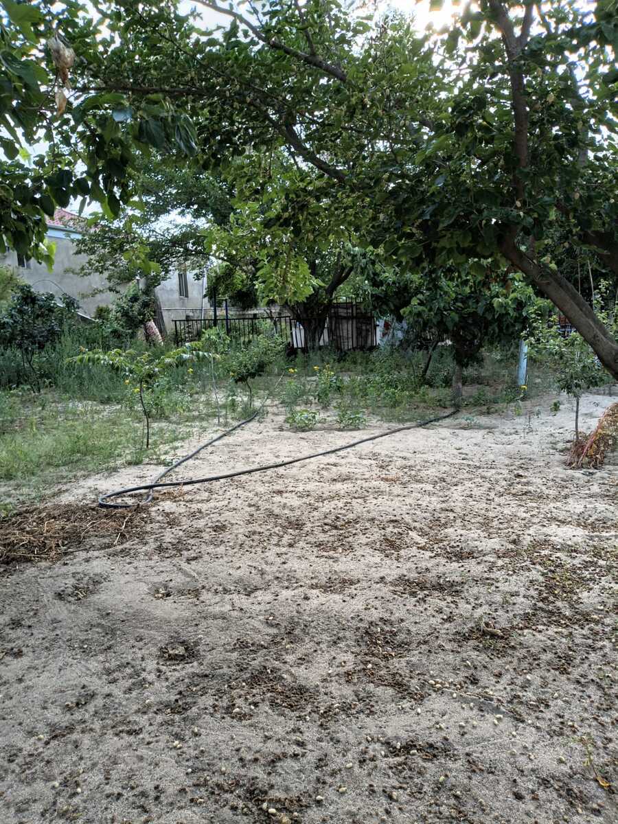 2.6 sot torpaq sahəsi, Corat bağları — Torpaq, Sumqayıt