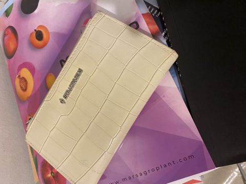 Stradivarius qadın pul qabı/cüzdan - Rəng: krem/ivory - Material — Bakı