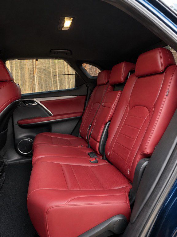 Lexus RX 300, 2.0 L, 2019 il, 125 000 km — Avtomobillər, Bakı (10)