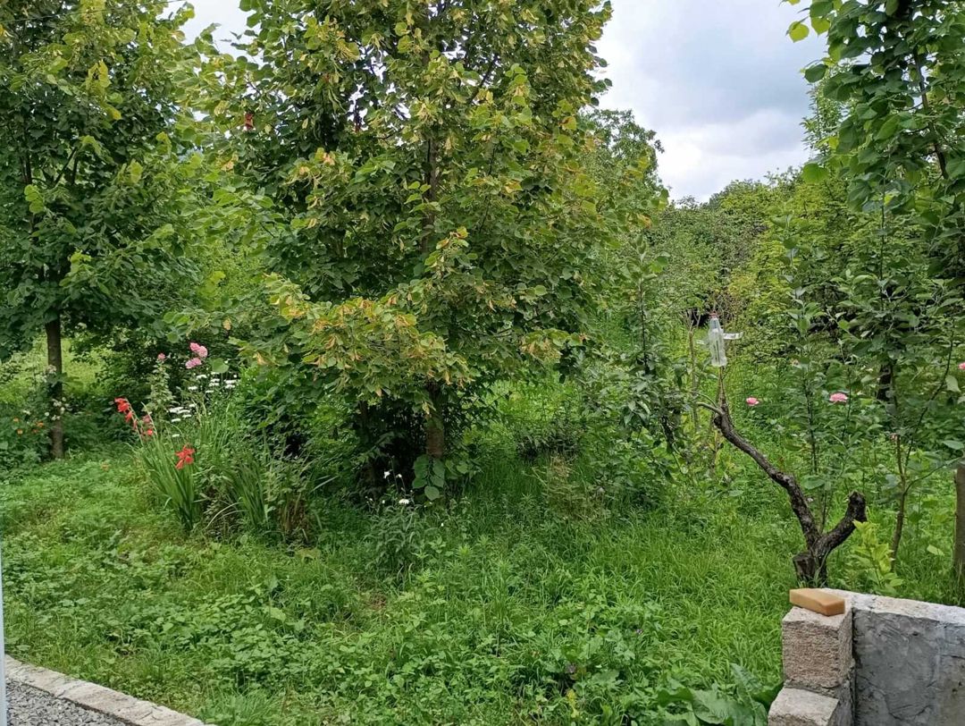 Həyət evi kirayə verilir, Cülyan k. — Daşınmaz əmlak, İsmayıllı (6)