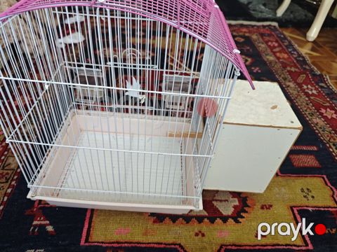 Quş qəfəsi və yuvalıq dəsti - Material: metal barmaqlıqlar, plastik — Bakı