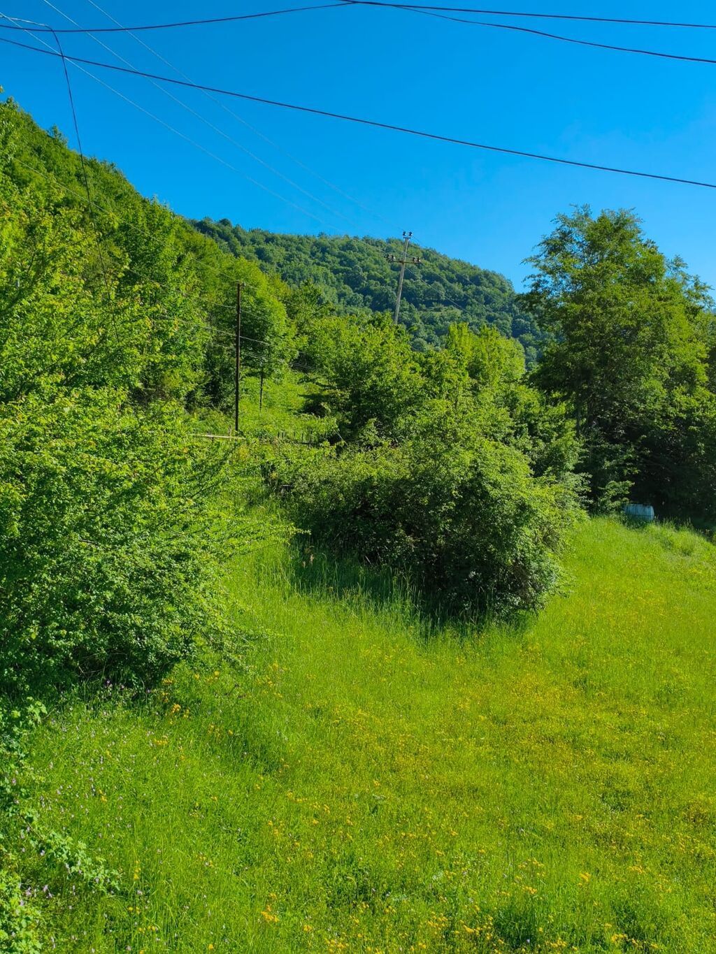 3 otaqlı, 110 kv. m, Kredit yoxdur, Yeni təmirli — Daşınmaz əmlak, Lerik (5)