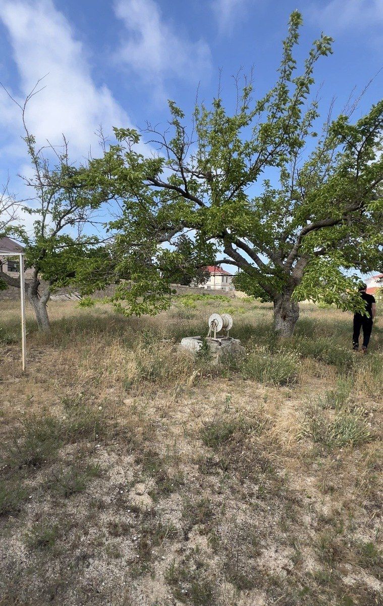 25 sot torpaq sahəsi, Bilgəh qəs — Torpaq, Bakı (4)