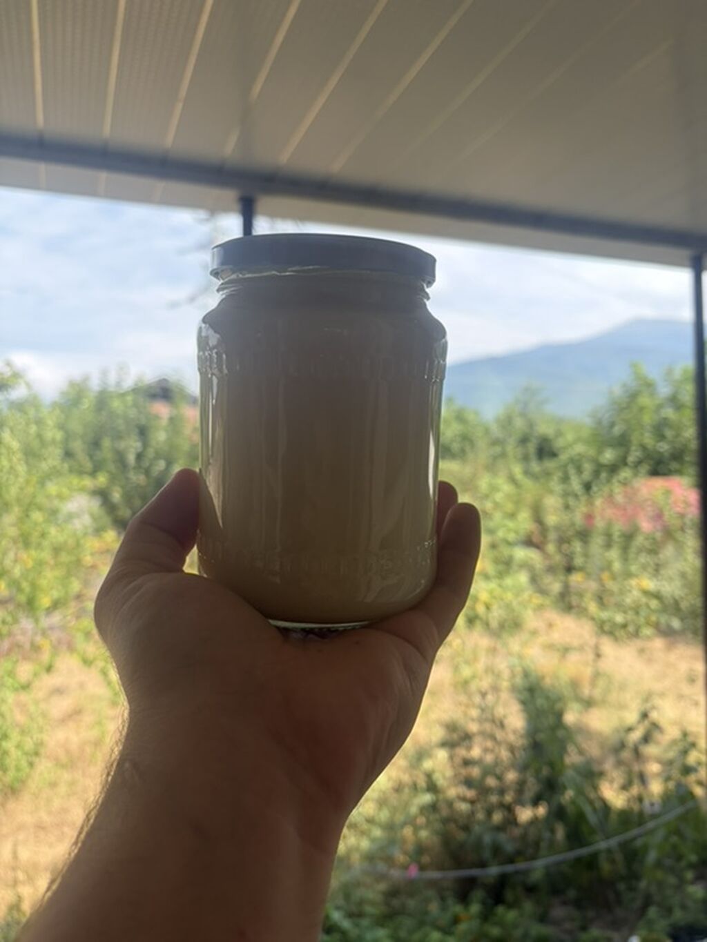 Tam təbii bal krem bal — Qida məhsulları, Şəki (2)