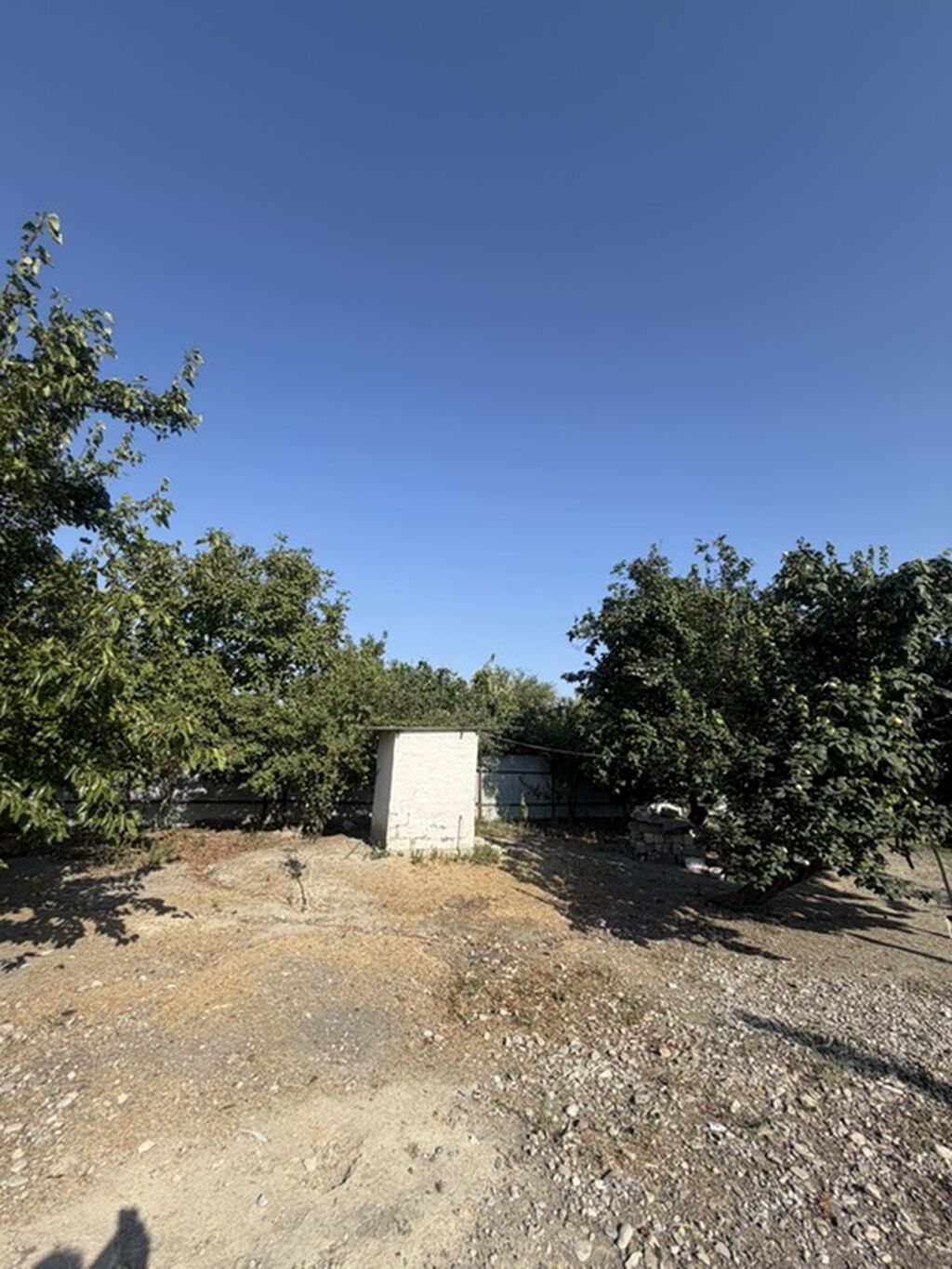 25 sot, Tikinti, Mülkiyyətçi, Kupça (Çıxarış) — Torpaq, Xaçmaz (8)