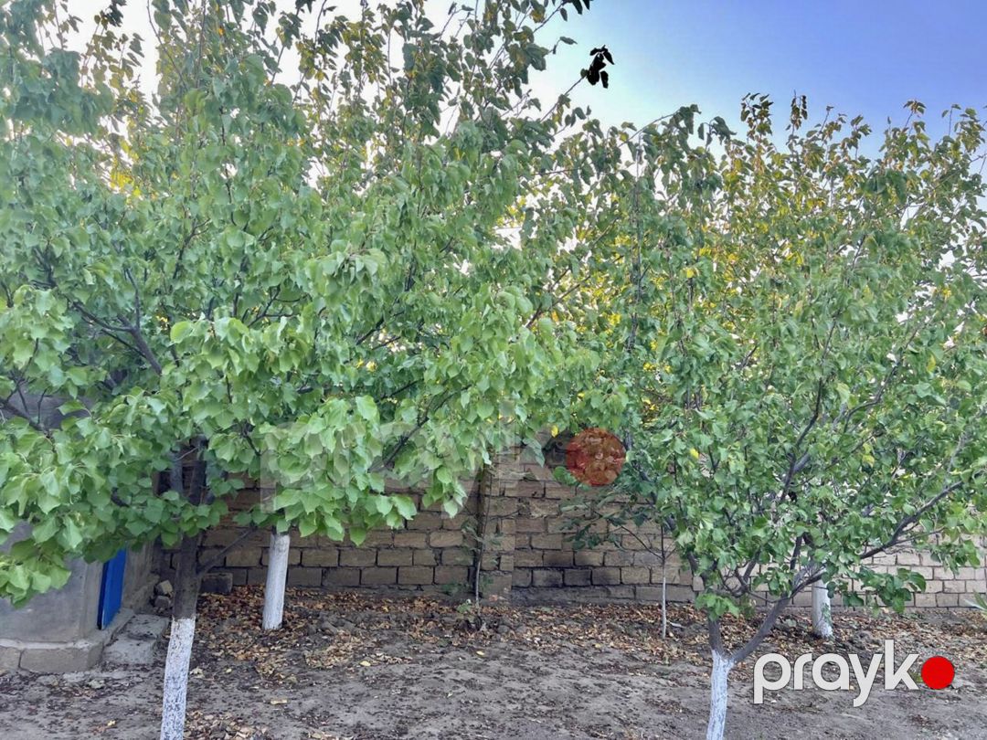 Satılır 5 otaqlı həyət evi/bağ evi 200 m² — Ev, villa, Bakı (3)