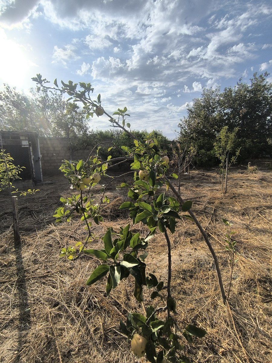 Satılır torpaq 2 sot — Torpaq, Bakı (7)
