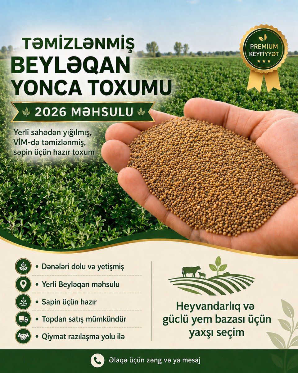 Təmizlənmiş Beyləqan yonca toxumu — Mallar, Beyləqan