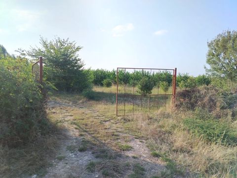 180 sot Kənd təsərrüfatı, Su