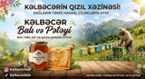 Təmmiz və Keyfiyyətli Kəlbəcər və Aran balı 🐝🥳 Kəlbəcər balı və — Qida məhsulları
