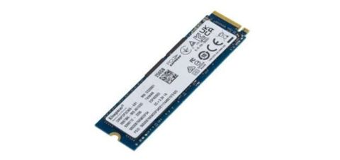 SSD disk Kingston, 256 GB, M.2, Yeni