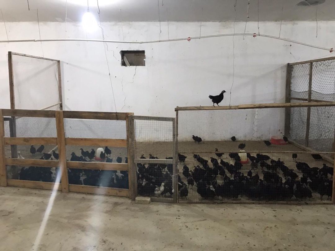 İcarəyə verilir obyekt 15000 m² — Əmlak, Bakı (7)