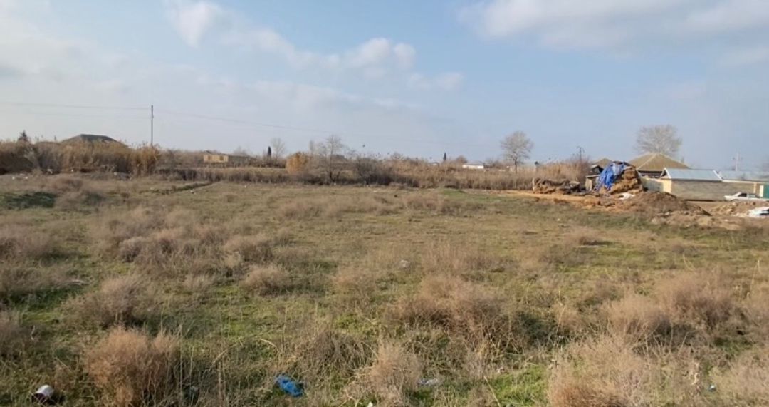 12 sot torpaq sahəsi, İmişli r. — Torpaq, İmişli (3)