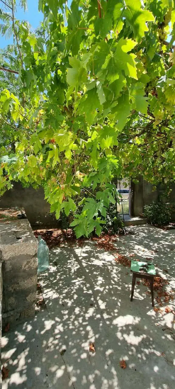 3 otaqlı həyət evi 100 m² satılır — Daşınmaz əmlak, Bakı (3)