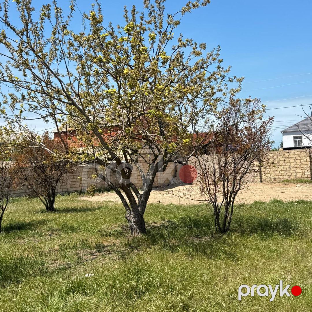 Satılır torpaq 3 sot — Torpaq, Bakı (2)