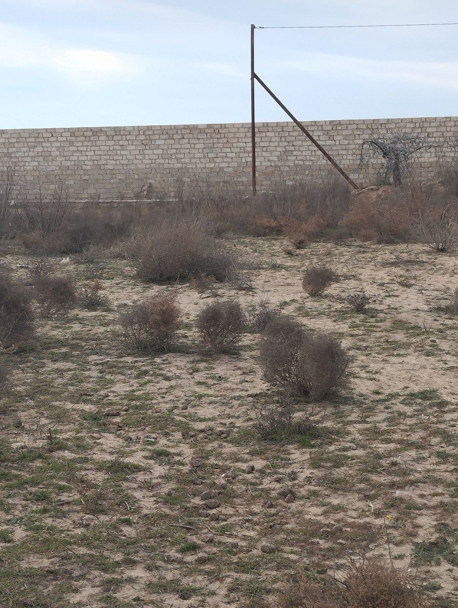 Satılır torpaq 9 sot — Torpaq, Bakı (6)