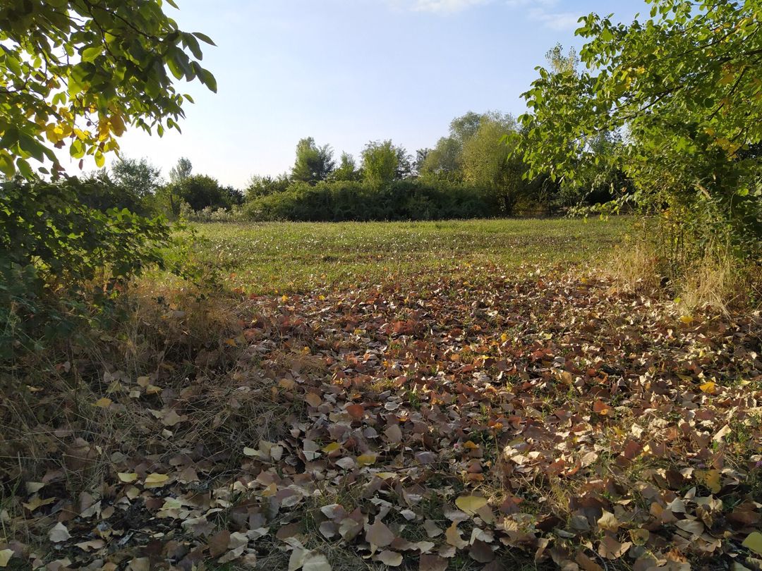 Satılır torpaq 28 sot — Torpaq, Qəbələ (8)