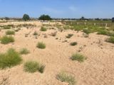 Satılır torpaq 5 sot — Land plot