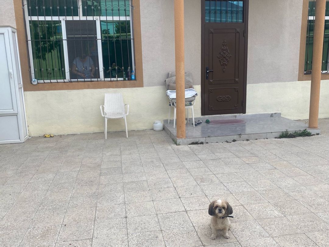 Həyət evi kirayə verilir, Zabrat qəs — Ev, villa, Bakı (4)
