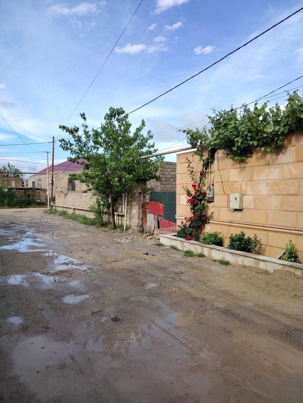 Tikinti
