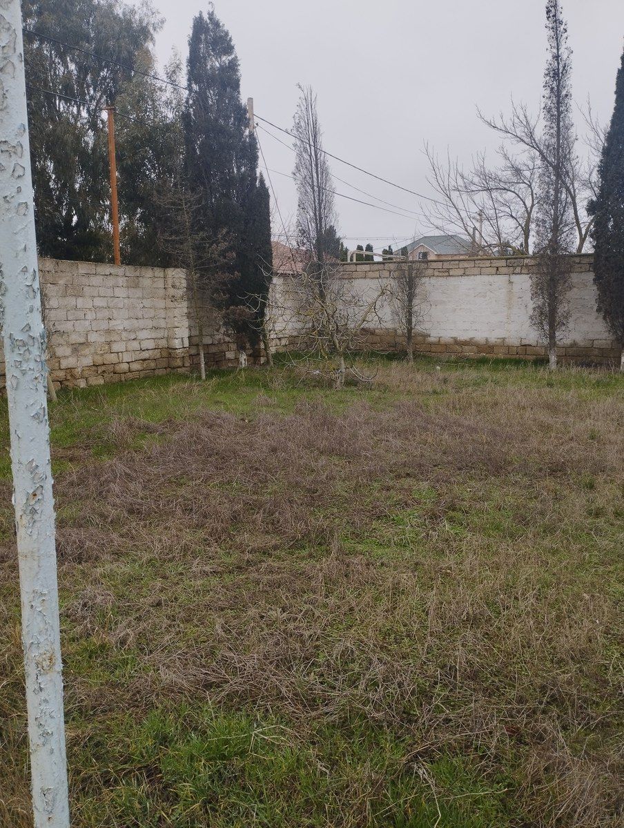 Satılır torpaq 14.5 sot — Torpaq, Bakı (3)
