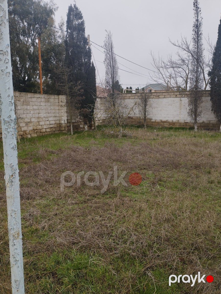 Satılır torpaq 14.5 sot — Torpaq, Bakı (3)