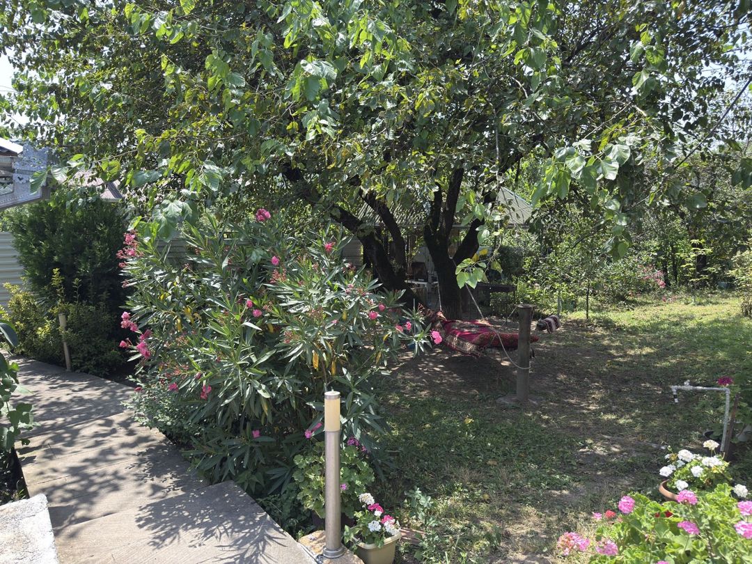 İcarəyə verilir 3 otaqlı həyət evi/bağ evi 150 m² — Ev, villa, Qəbələ (6)
